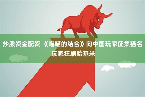炒股资金配资 《喵喵的结合》向中国玩家征集猫名 玩家狂刷哈基米