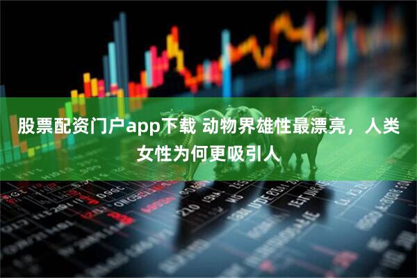 股票配资门户app下载 动物界雄性最漂亮，人类女性为何更吸引人