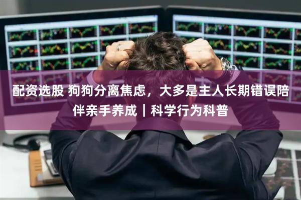 配资选股 狗狗分离焦虑，大多是主人长期错误陪伴亲手养成｜科学行为科普